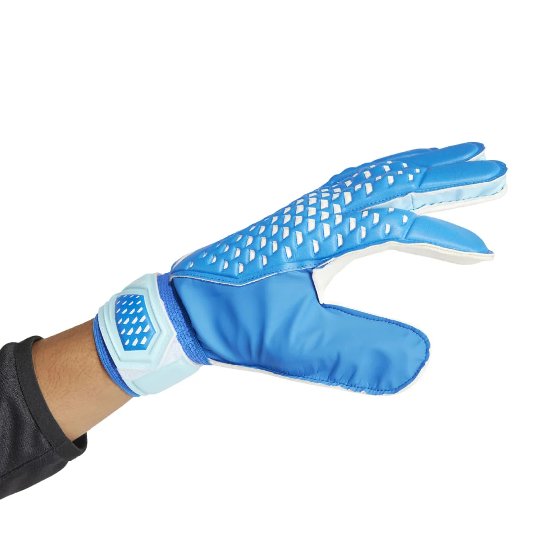 ADIDAS Predator Training Goalkeeper Gloves Blue IA0876 - Image 3