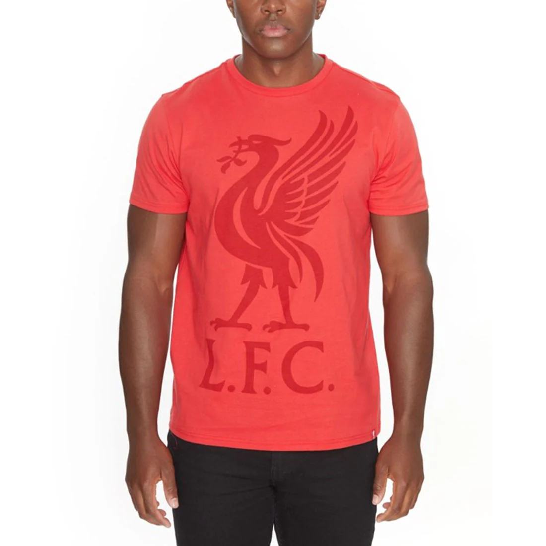 LFC Liverbird Men's Tee RED - Image 4